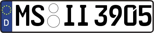 MS-II3905