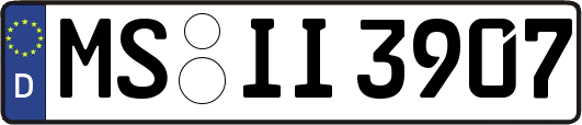 MS-II3907