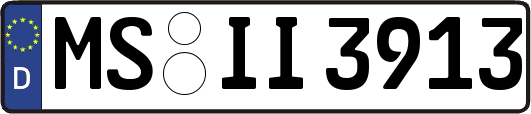 MS-II3913