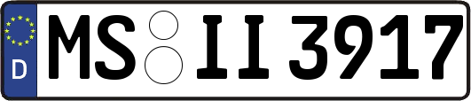 MS-II3917