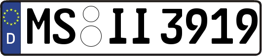 MS-II3919