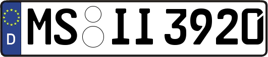 MS-II3920