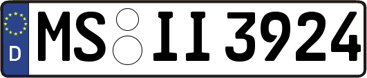 MS-II3924