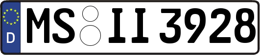 MS-II3928