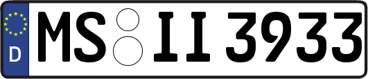 MS-II3933