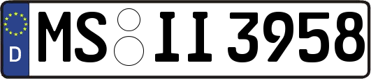 MS-II3958