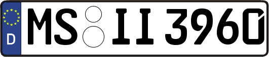 MS-II3960