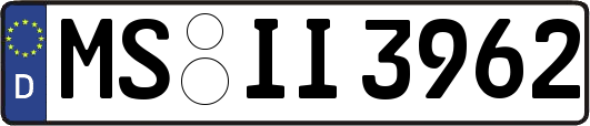 MS-II3962