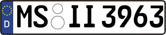 MS-II3963
