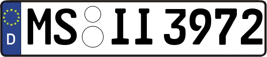 MS-II3972