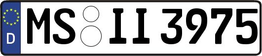 MS-II3975