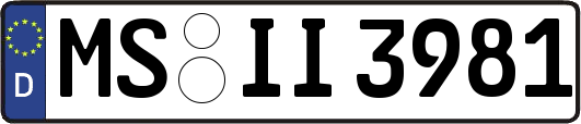 MS-II3981