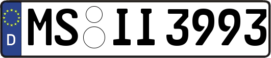 MS-II3993