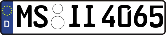 MS-II4065