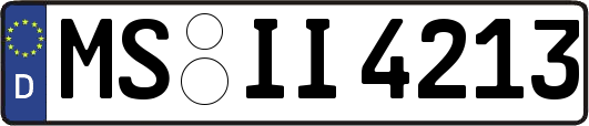 MS-II4213