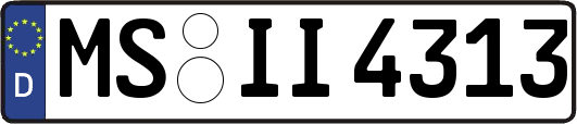 MS-II4313