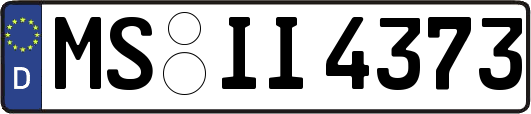 MS-II4373