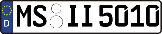 MS-II5010