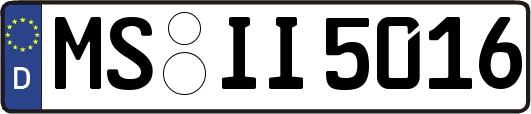 MS-II5016