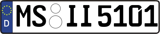 MS-II5101