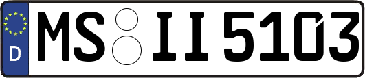 MS-II5103