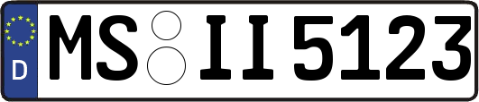 MS-II5123