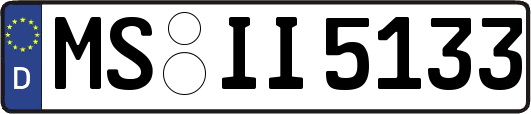 MS-II5133
