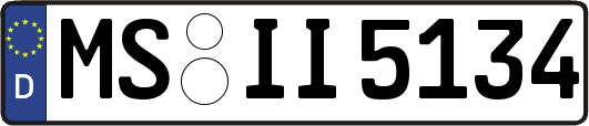 MS-II5134