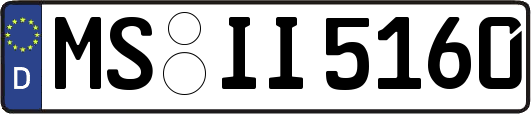 MS-II5160