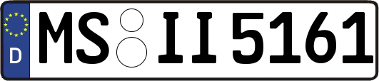 MS-II5161