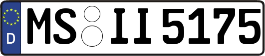 MS-II5175