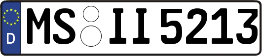 MS-II5213