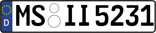 MS-II5231