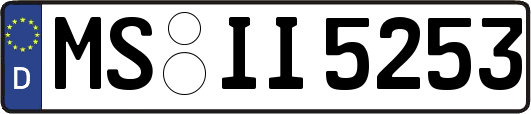 MS-II5253