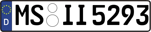 MS-II5293