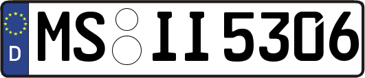 MS-II5306