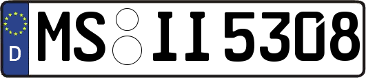 MS-II5308