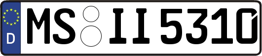 MS-II5310