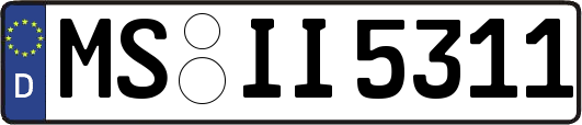 MS-II5311