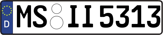 MS-II5313