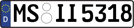 MS-II5318