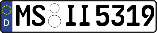 MS-II5319