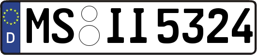 MS-II5324