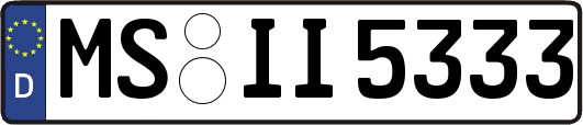MS-II5333