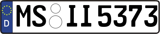 MS-II5373