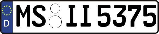 MS-II5375