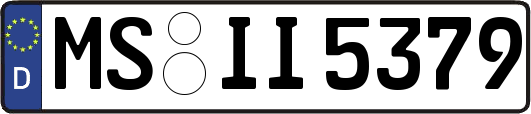MS-II5379