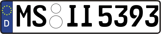 MS-II5393