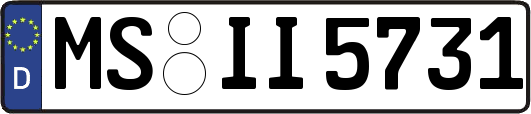 MS-II5731
