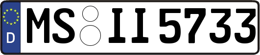 MS-II5733